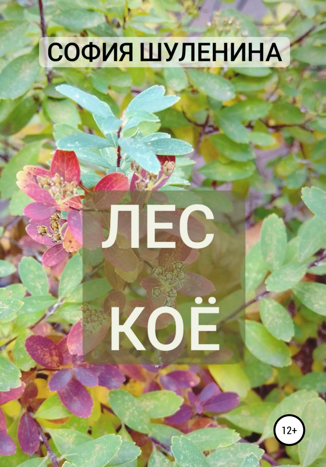 Обложка книги «Лес Коё»