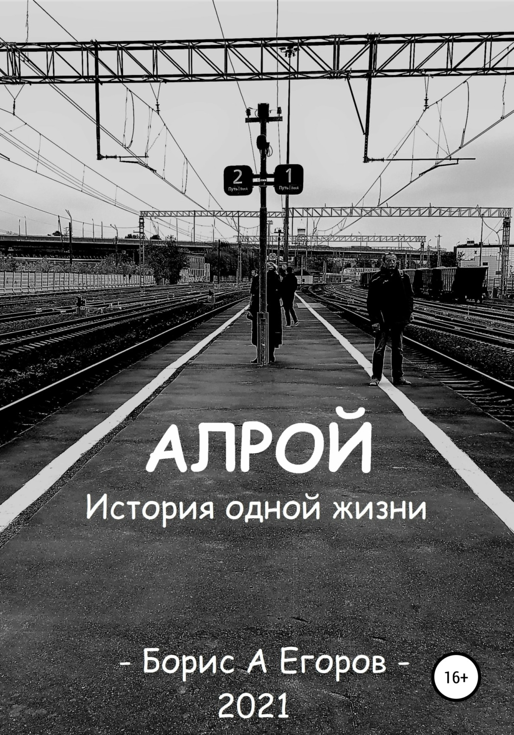 Обложка книги «Алрой. История одной жизни»