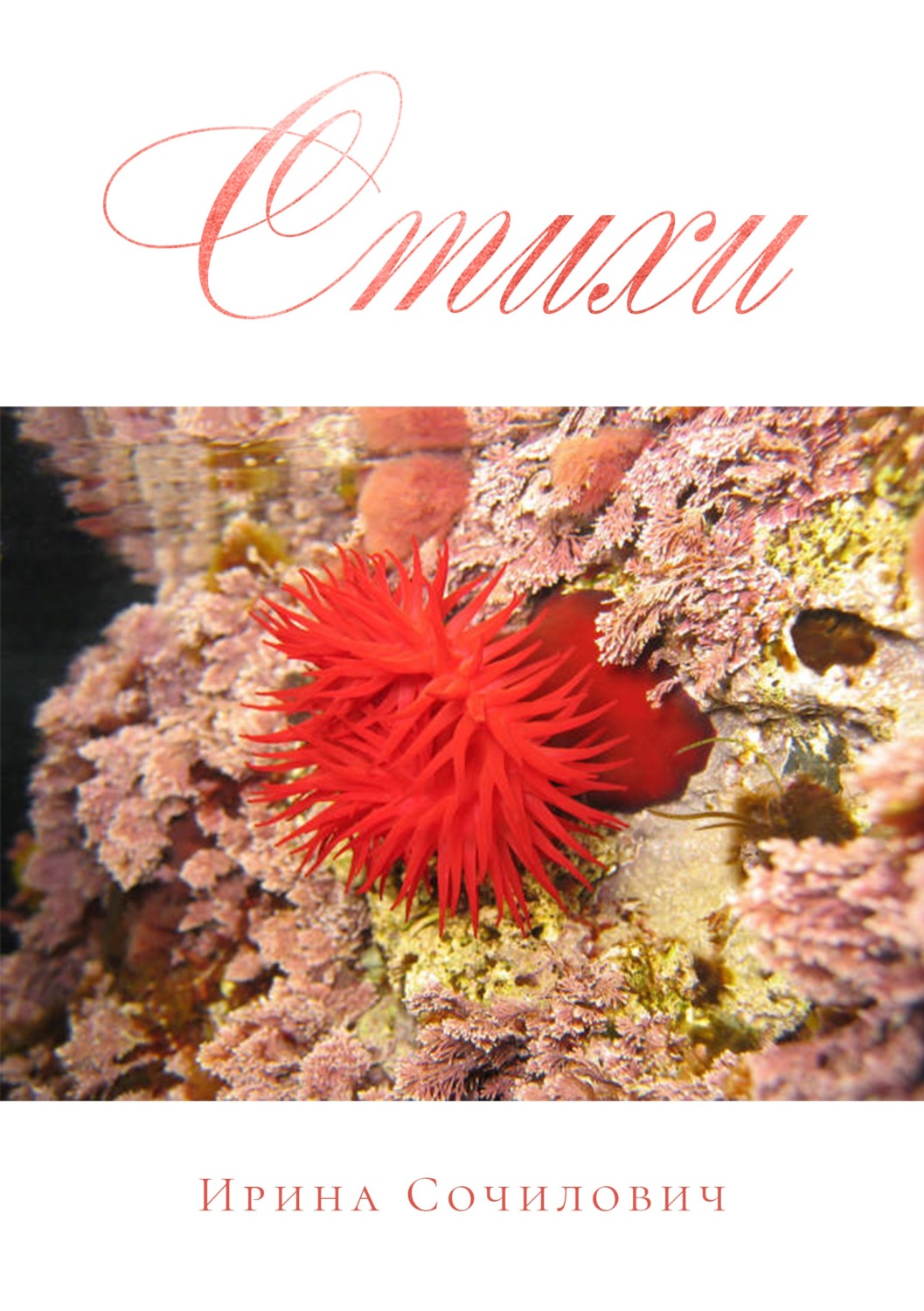 Обложка книги «Стихи»