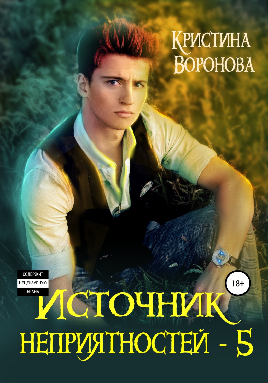 Обложка книги «Источник неприятностей – 5»