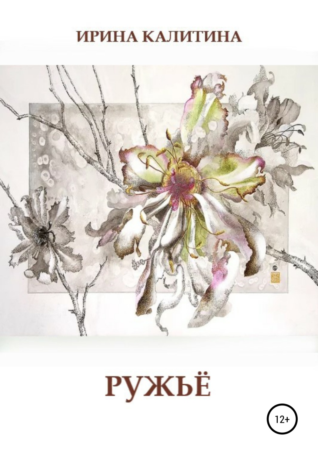 Обложка книги «Ружьё»