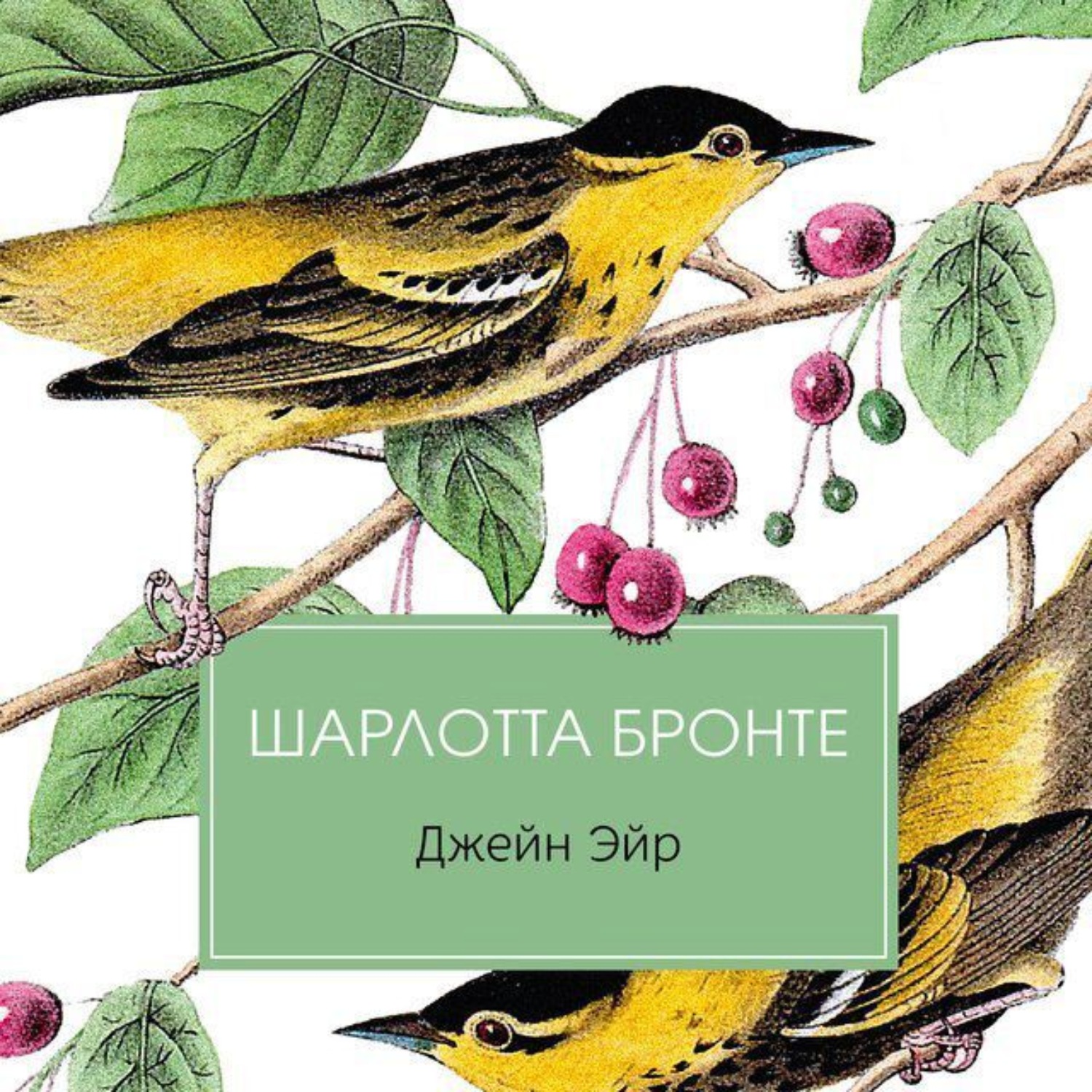 Обложка книги «Джейн Эйр»