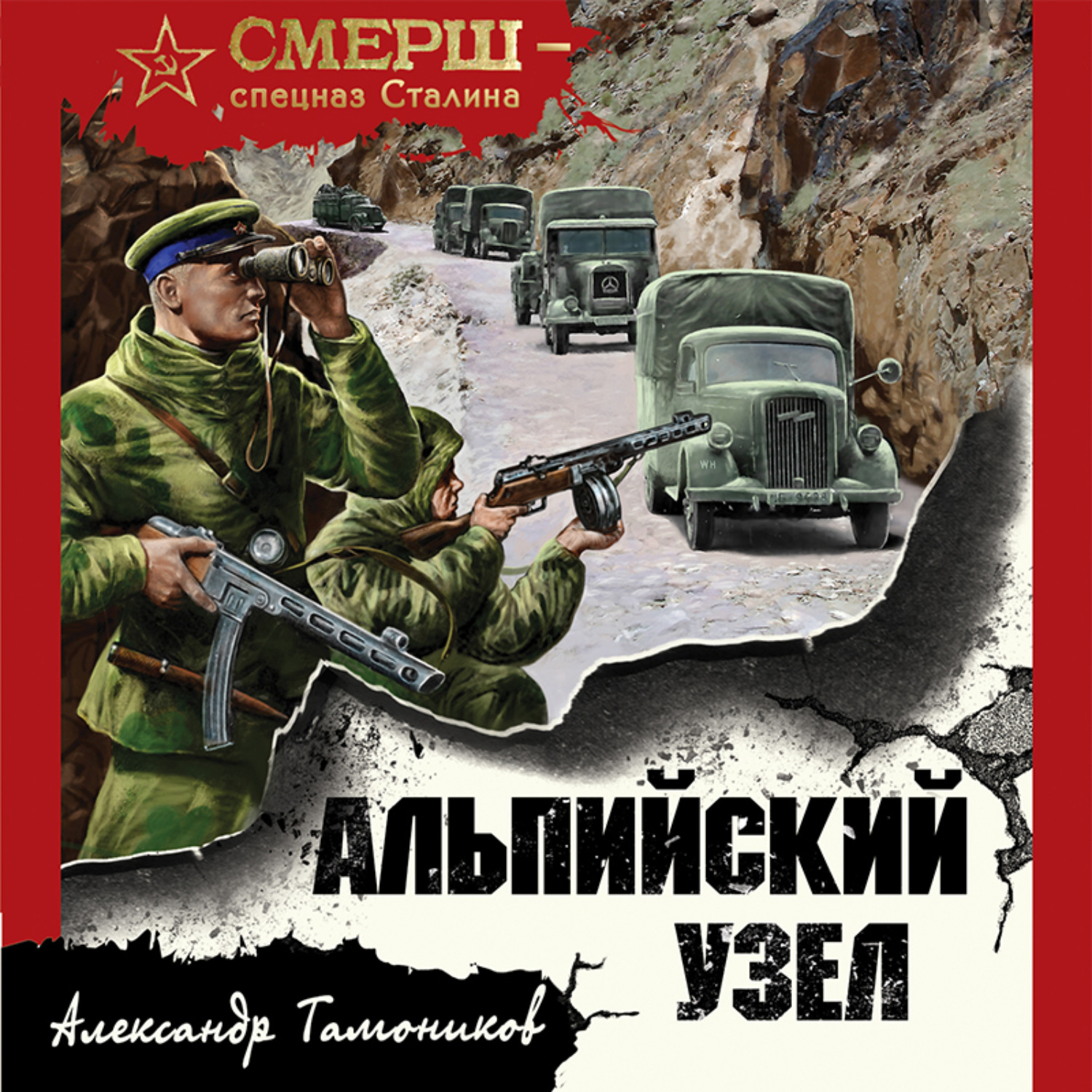 Обложка книги «Альпийский узел»
