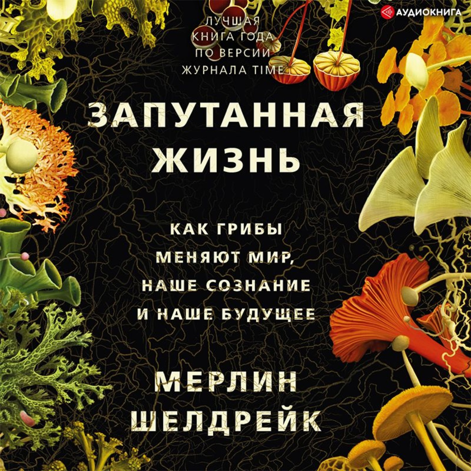Обложка книги «Запутанная жизнь. Как грибы меняют мир, наше сознание и наше будущее»