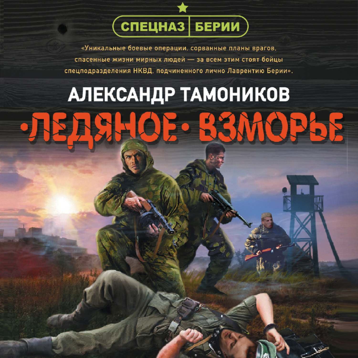 Обложка книги «Ледяное взморье»