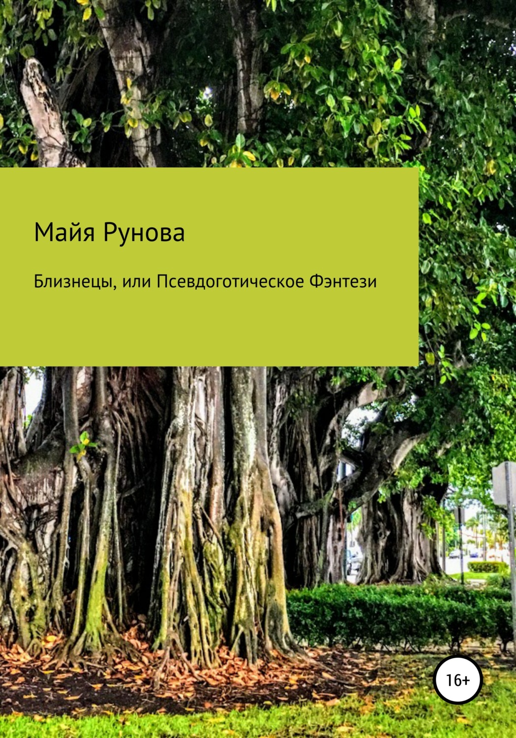 Обложка книги «Близнецы, или Псевдоготическое Фэнтези»