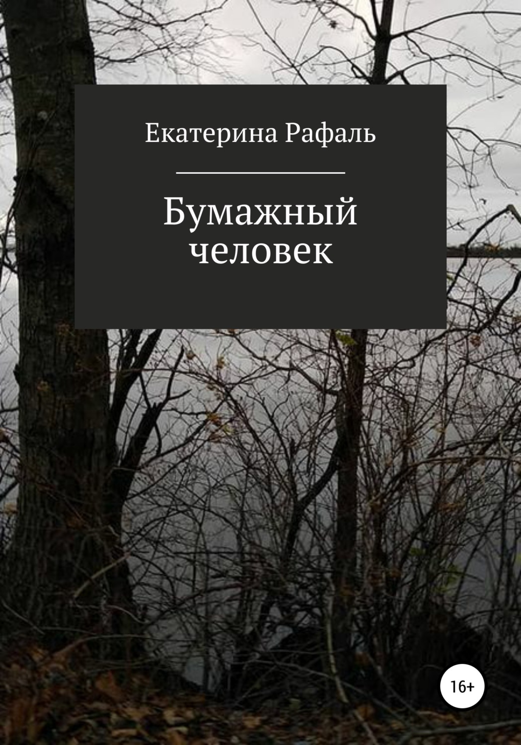 Обложка книги «Бумажный человек»