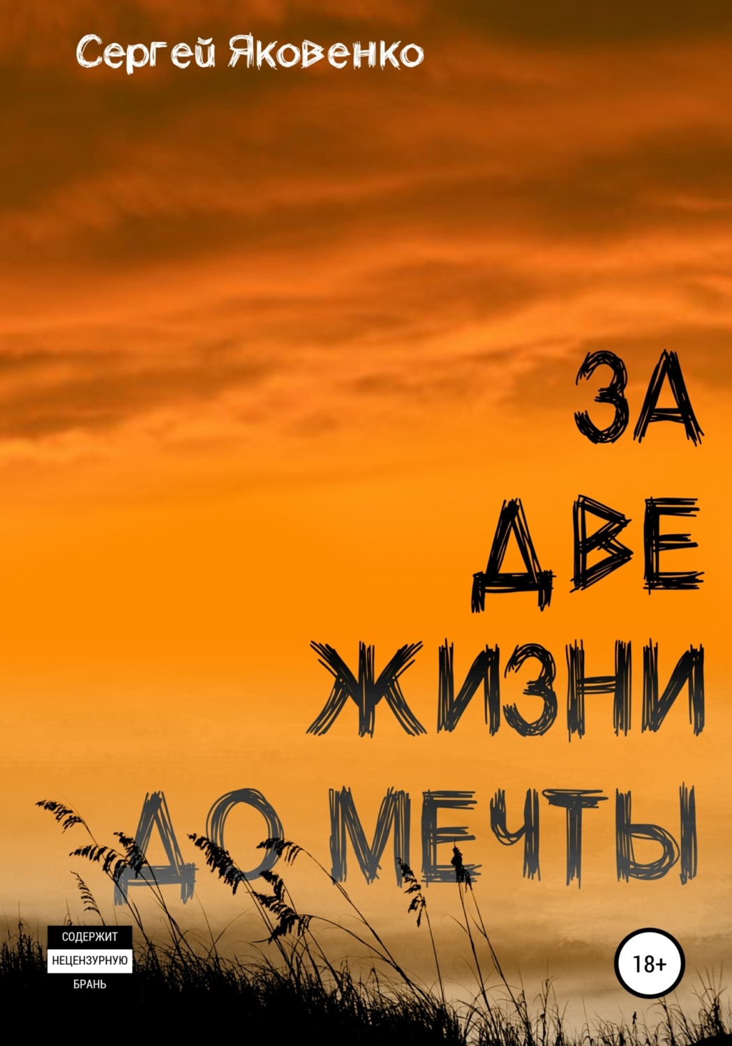 Обложка книги «За две жизни до мечты»