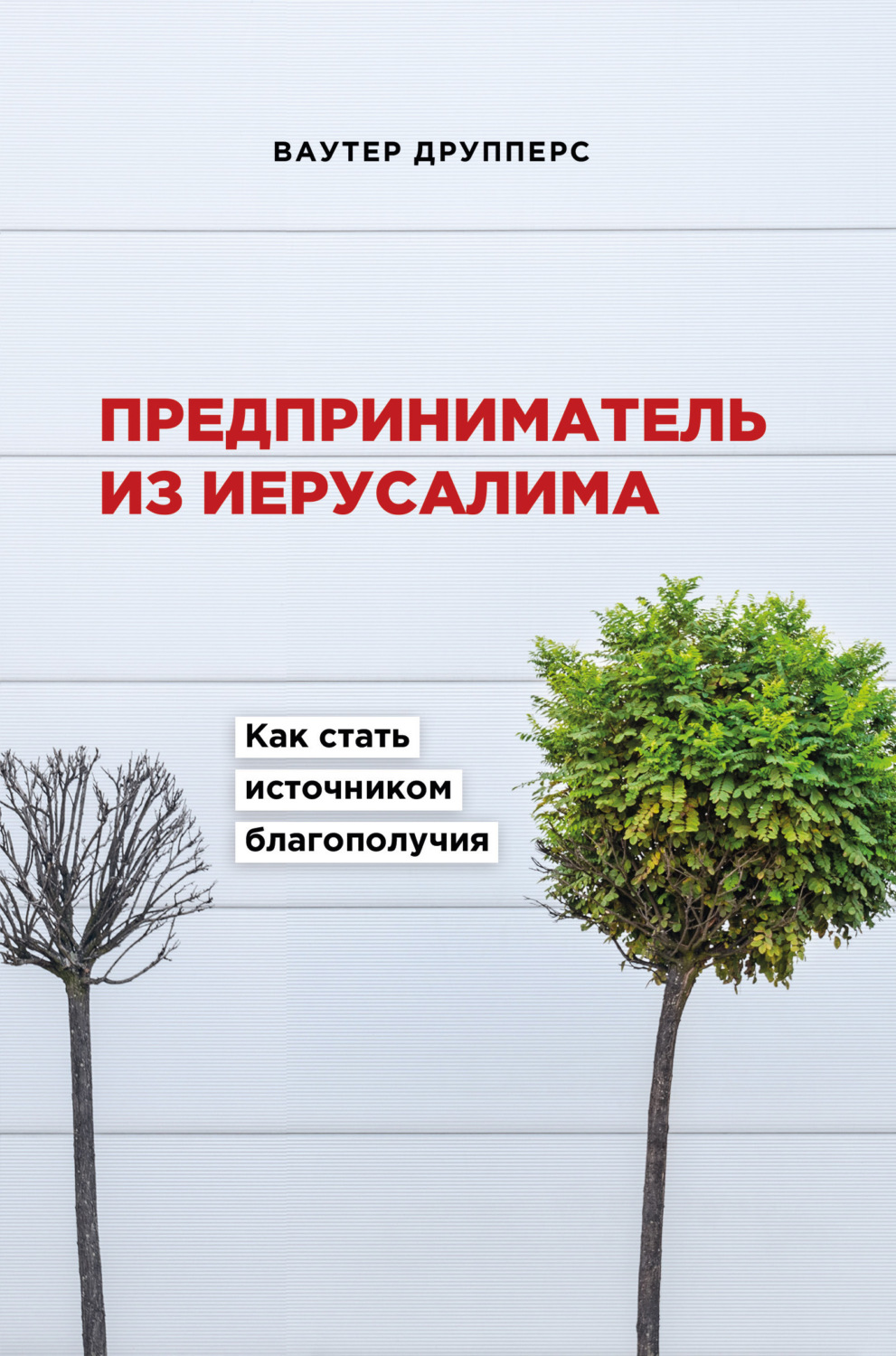 Обложка книги «Предприниматель из Иерусалима. Как стать источником благополучия»