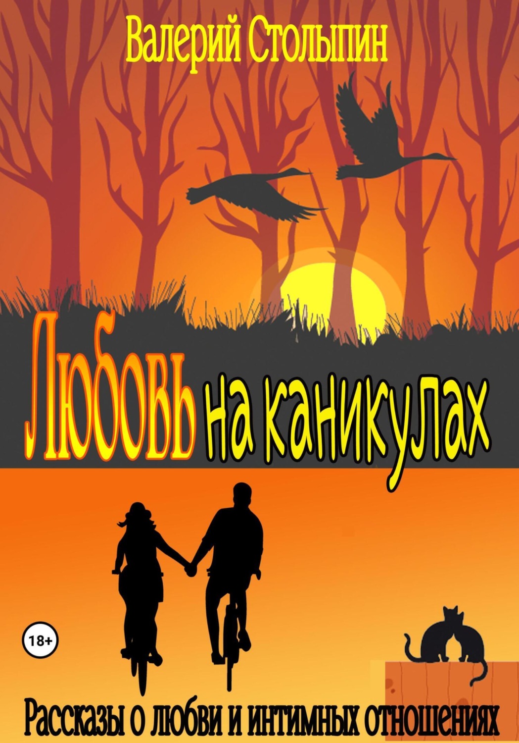 Обложка книги «Любовь на каникулах»