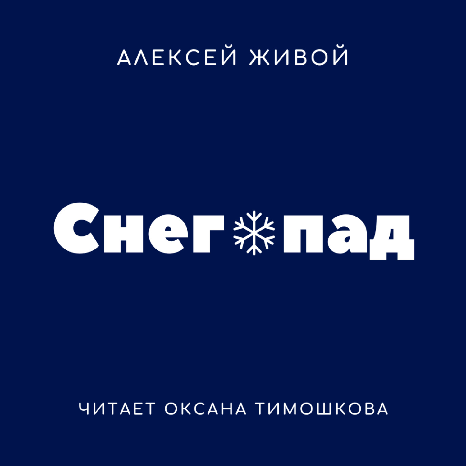 Обложка книги «Снегопад»