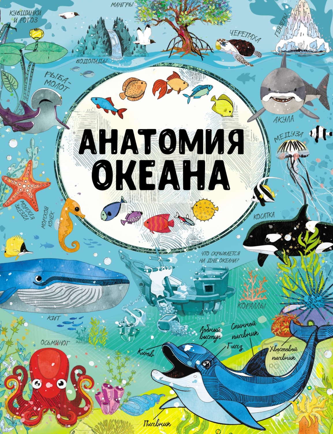 Обложка книги «Анатомия океана»
