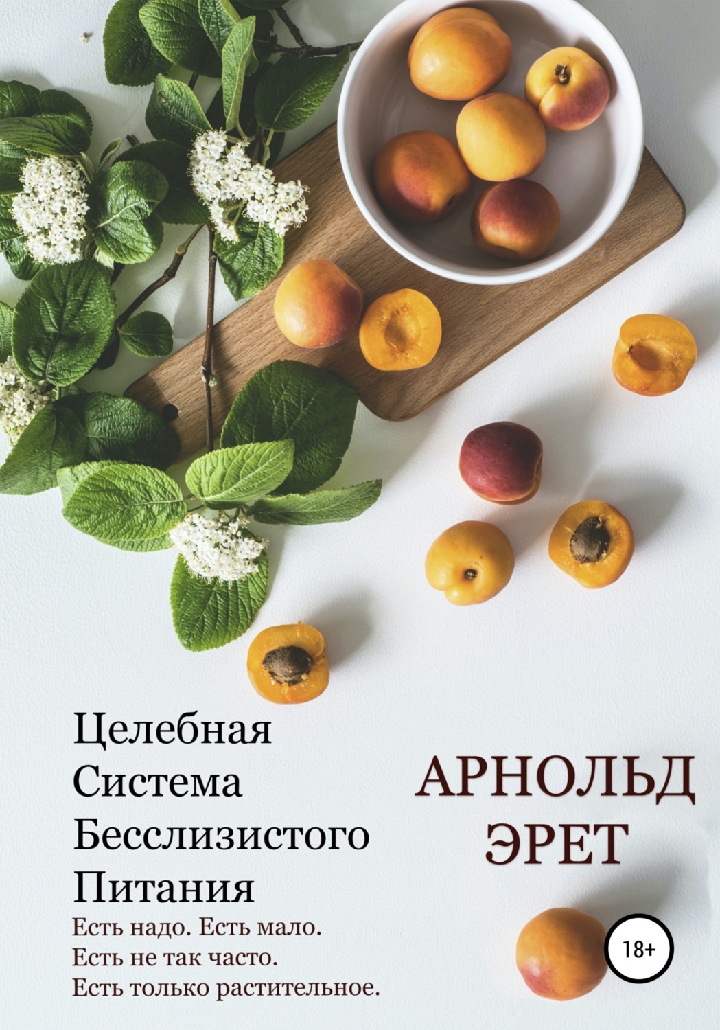 Обложка книги «Целебная Система Бесслизистого Питания»