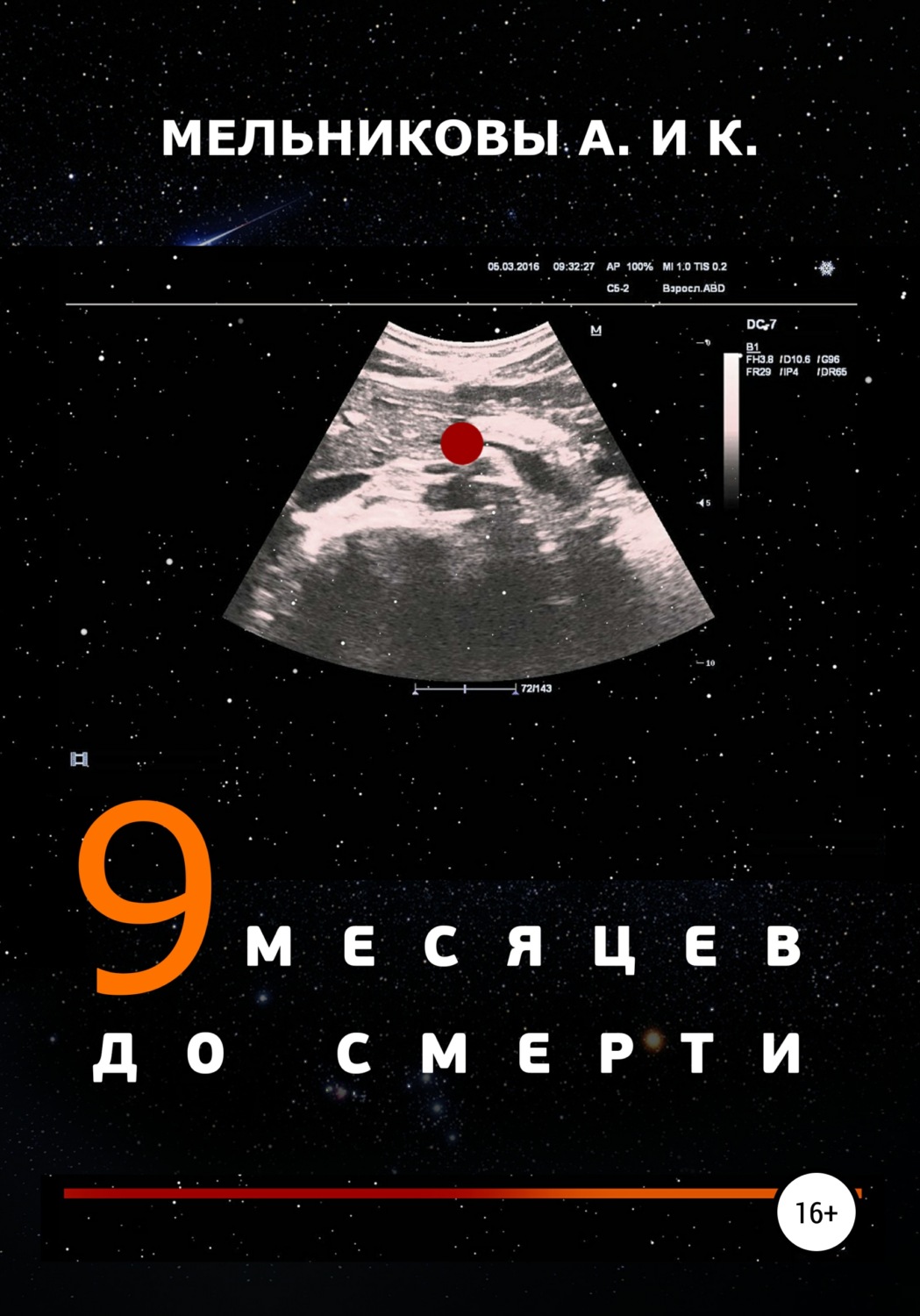 Обложка книги «9 месяцев до смерти»