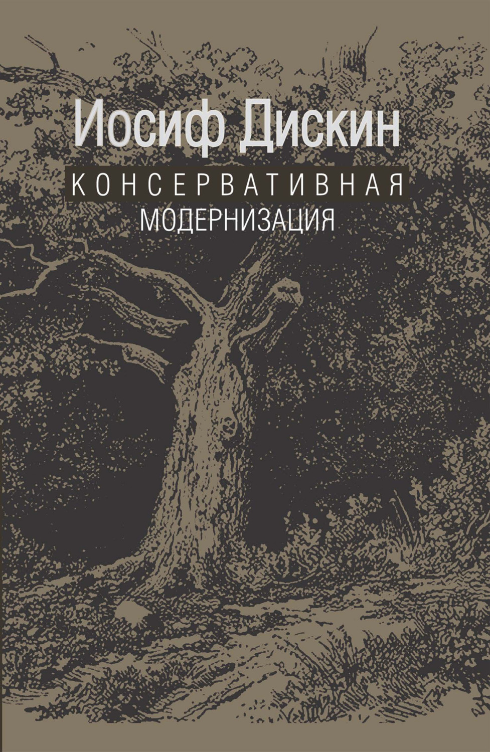 Обложка книги «Консервативная модернизация»