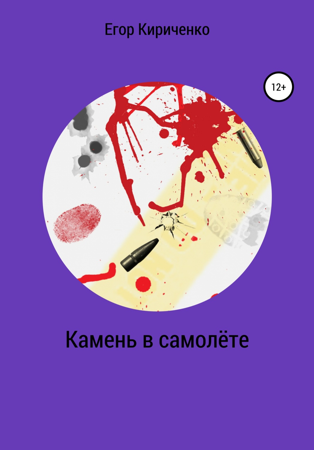 Обложка книги «Камень в самолёте»