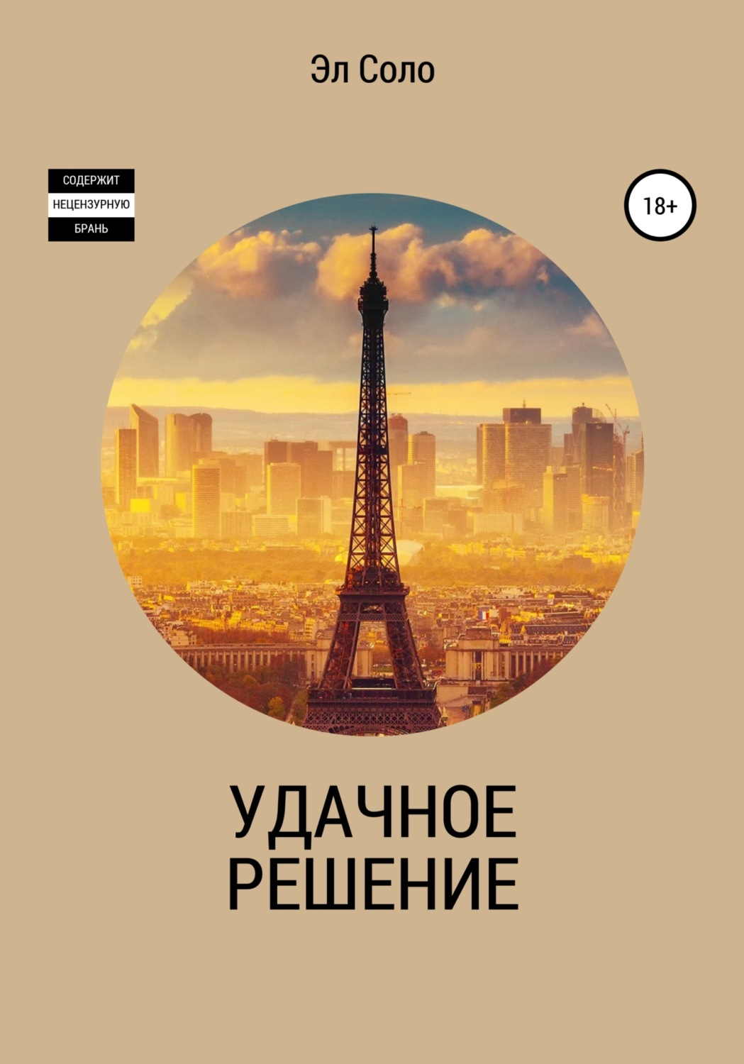 Обложка книги «Удачное решение»