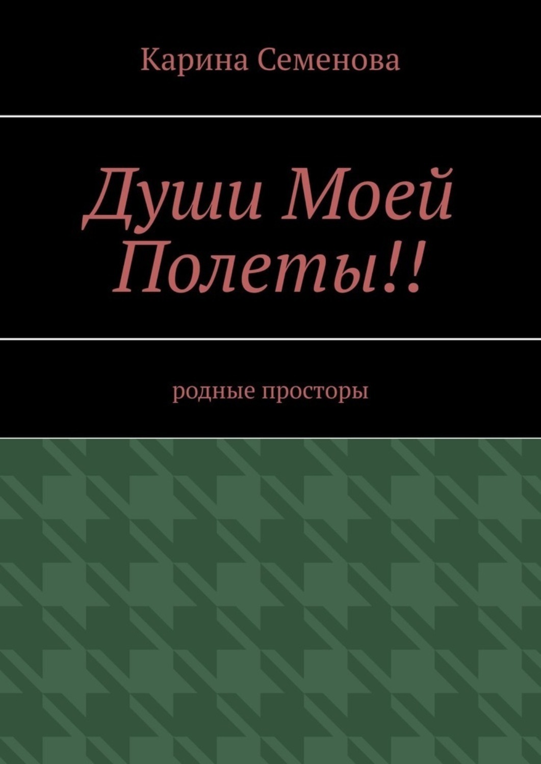 Обложка книги «Души моей полеты!! Родные просторы»