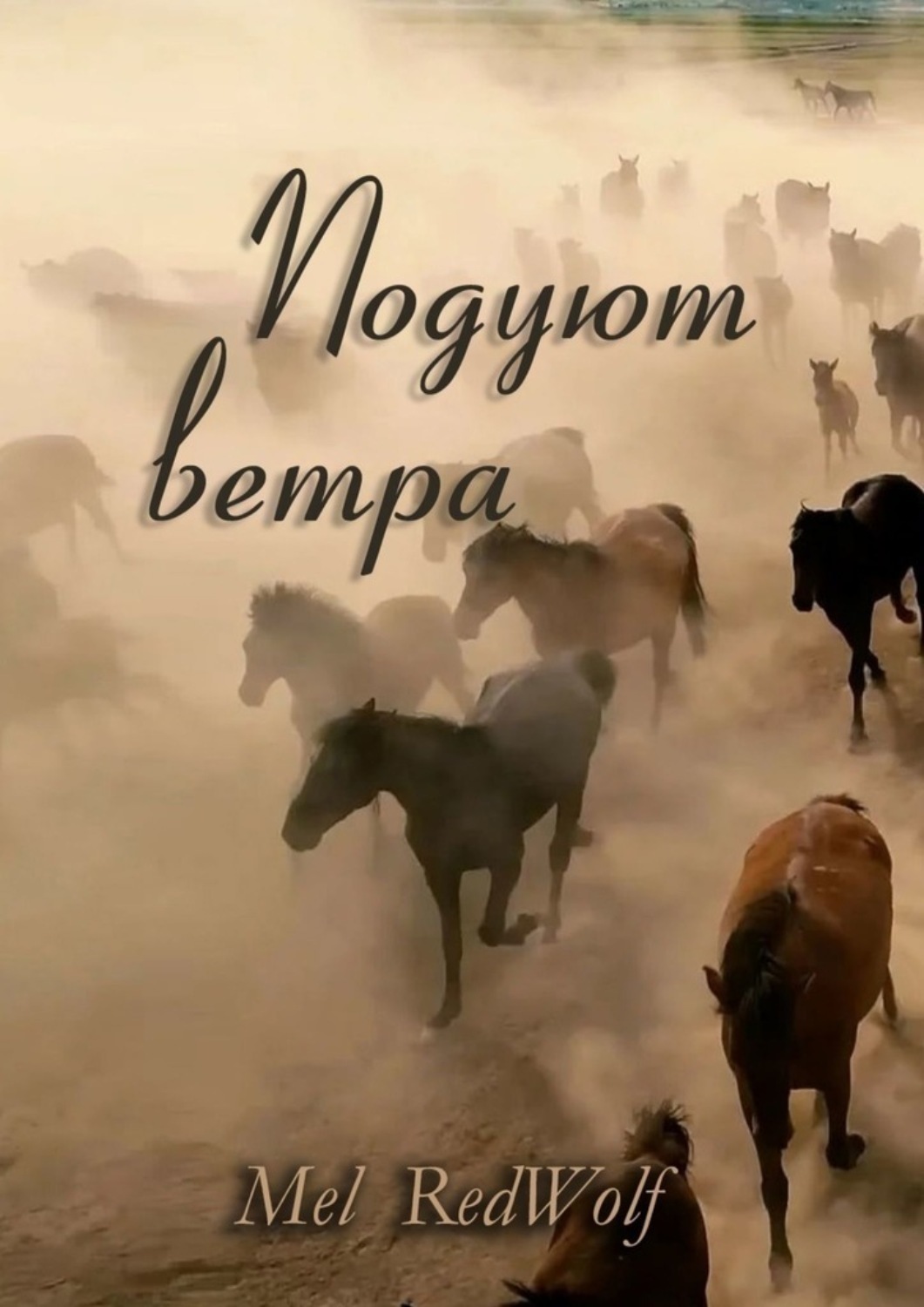 Обложка книги «Подуют Ветра»