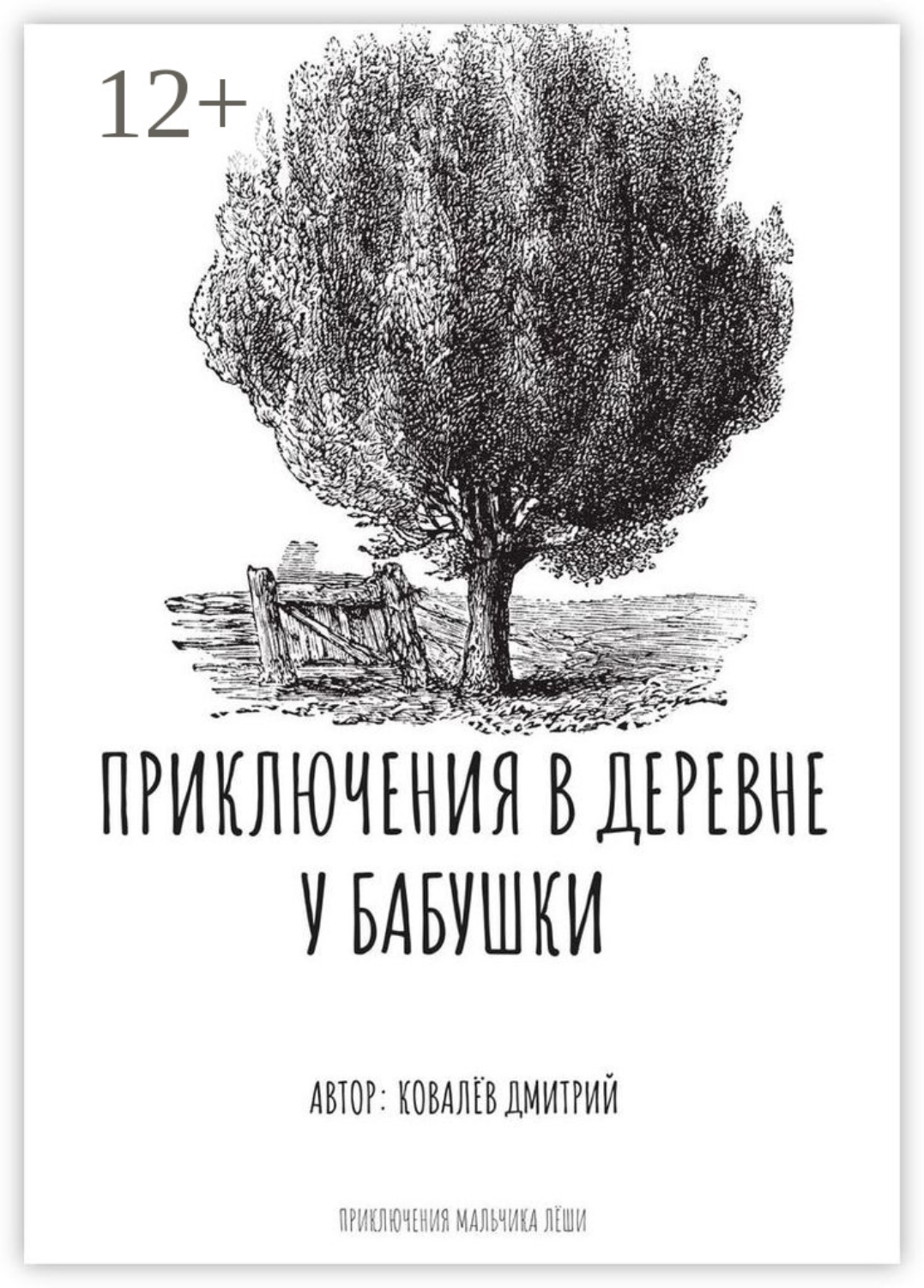 Обложка книги «Приключения в деревне у бабушки»
