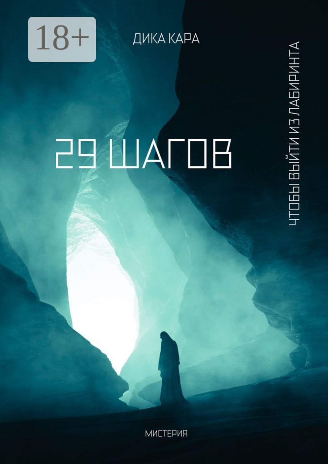 Обложка книги «29 шагов. Чтобы выйти из Лабиринта»