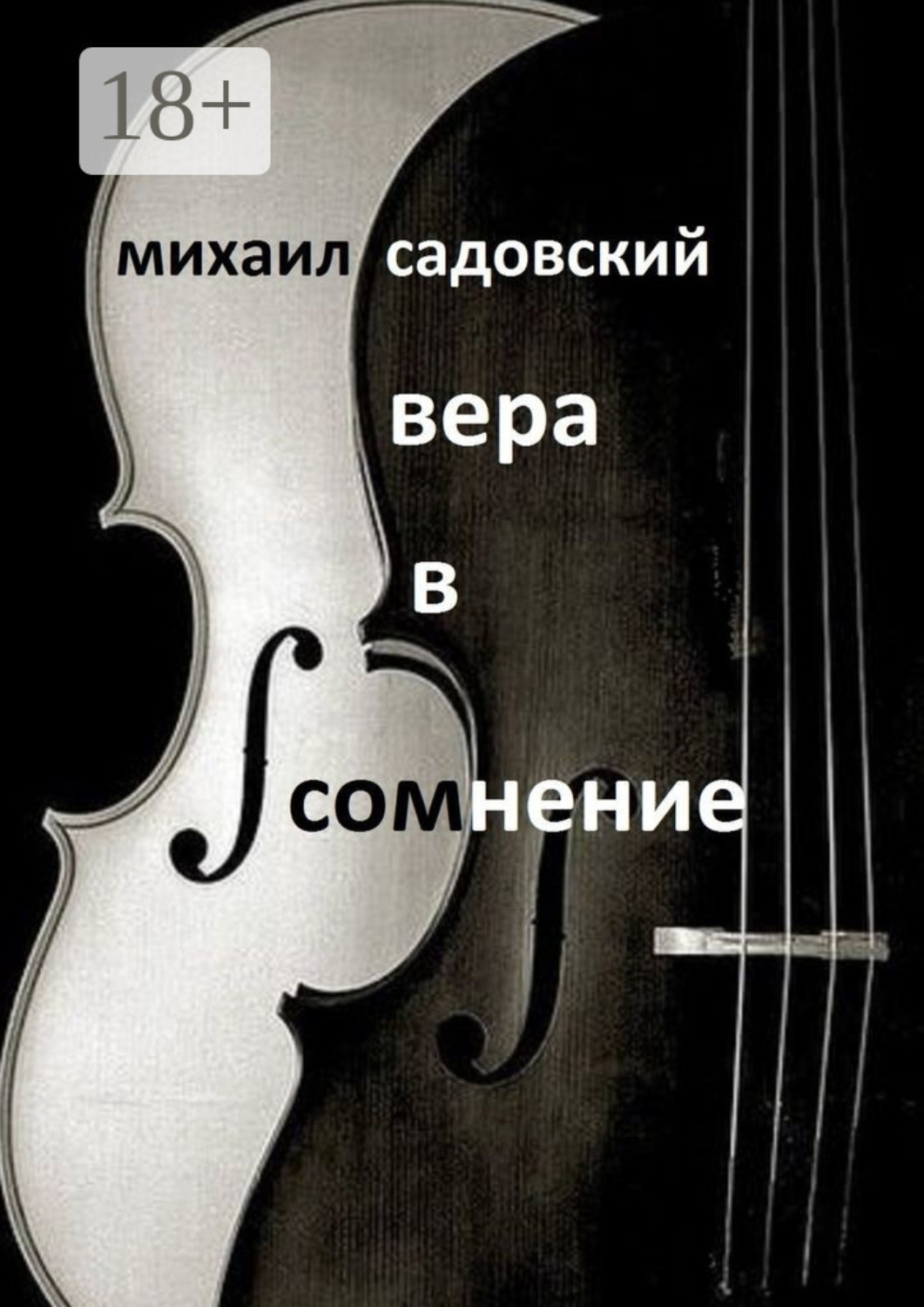 Обложка книги «Вера в сомнение. Книга стихотворений»
