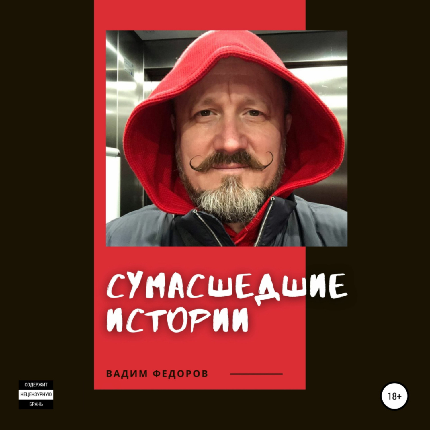 Обложка книги «Сумасшедшие истории»