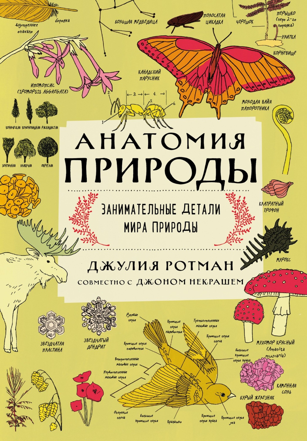 Обложка книги «Анатомия природы. Занимательные детали мира природы»