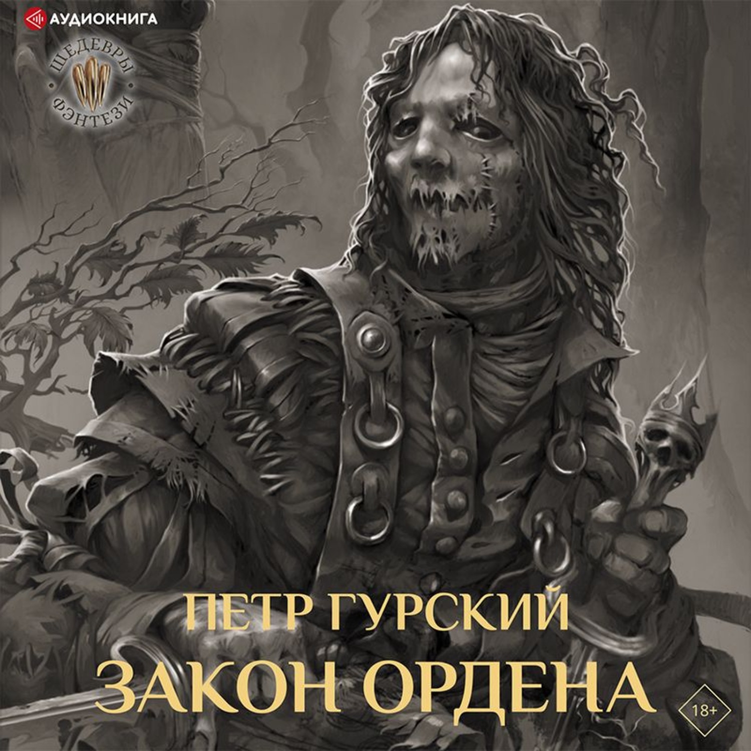 Обложка книги «Закон Ордена»