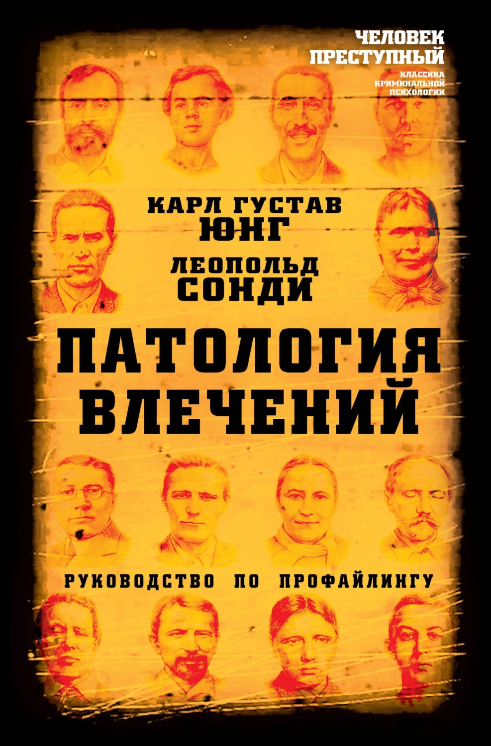 Обложка книги «Патология влечений. Руководство по профайлингу»