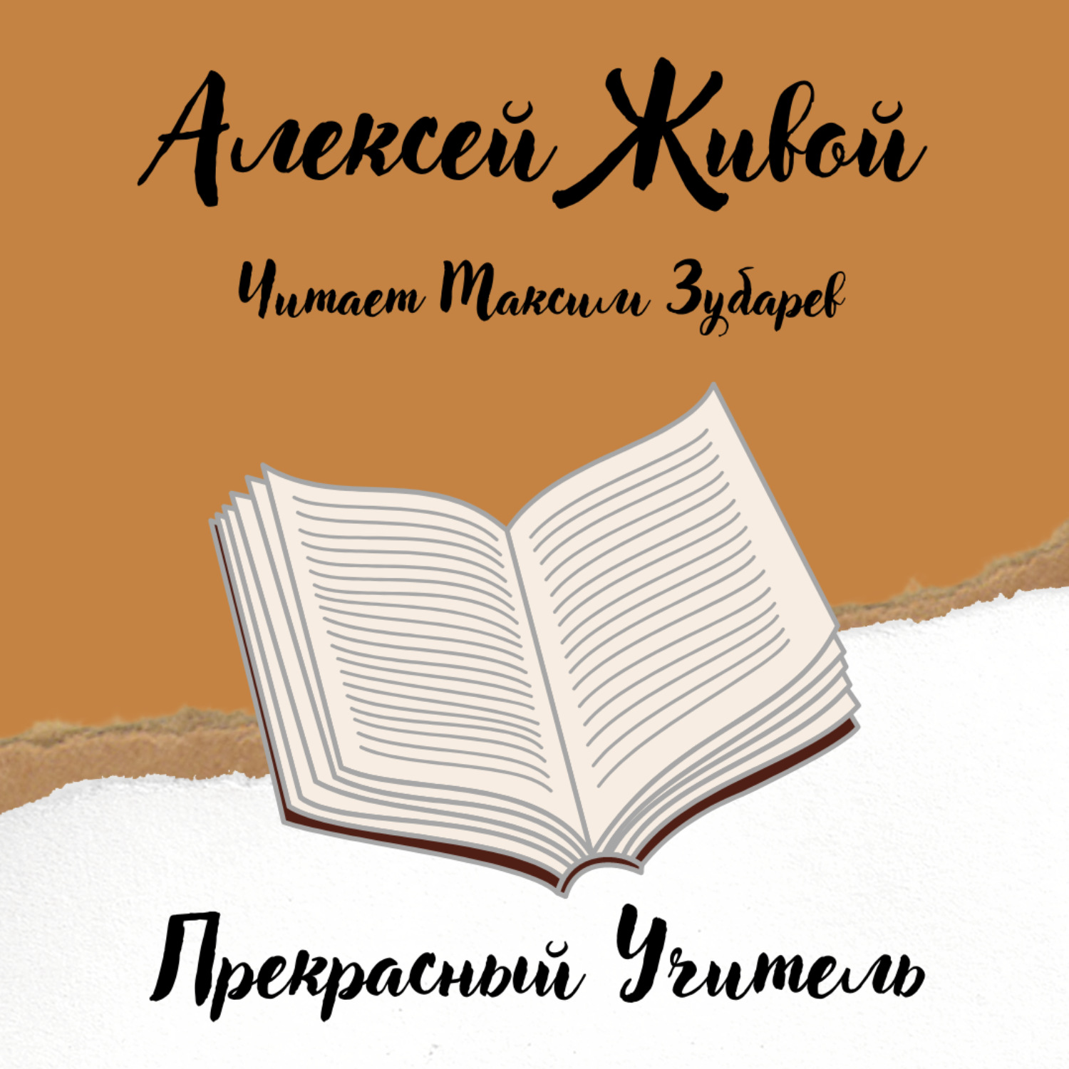 Обложка книги «Прекрасный учитель»