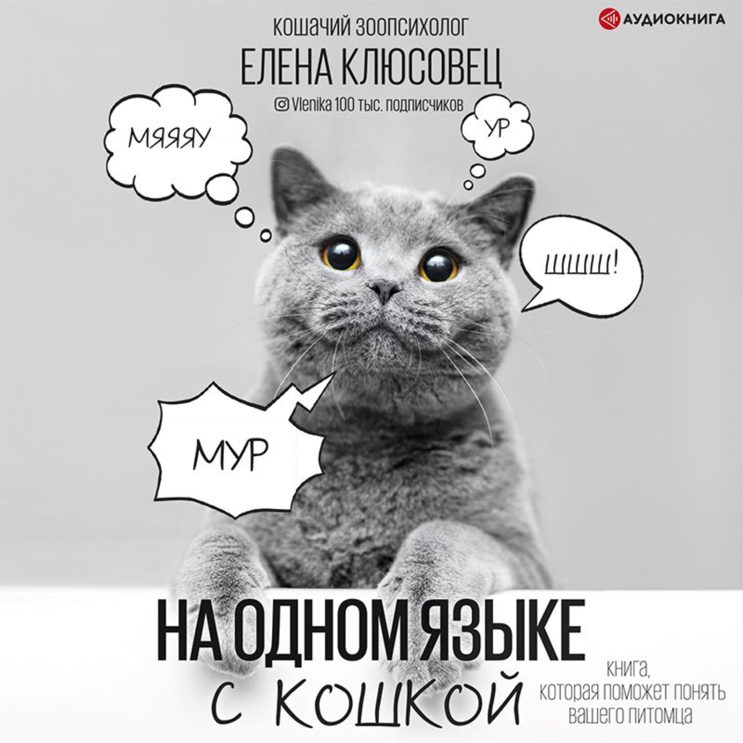 Обложка книги «На одном языке с кошкой»