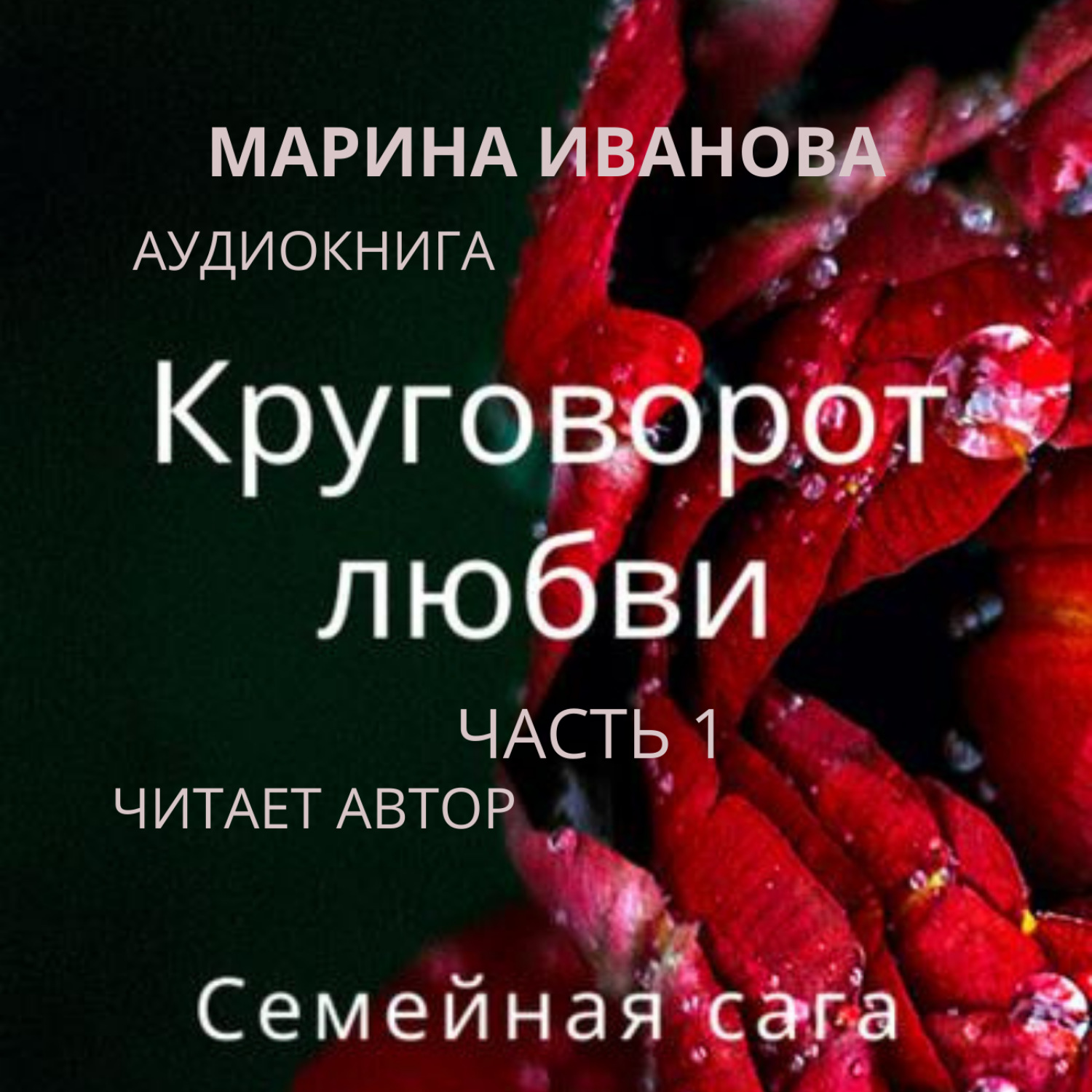 Обложка книги «Круговорот любви»