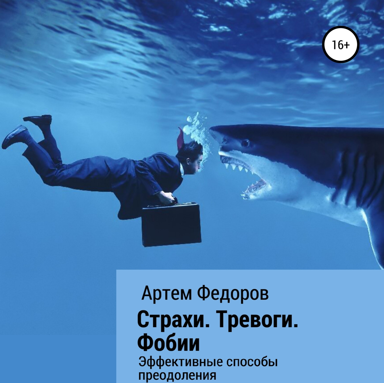 Обложка книги «Страхи. Тревоги. Фобии»