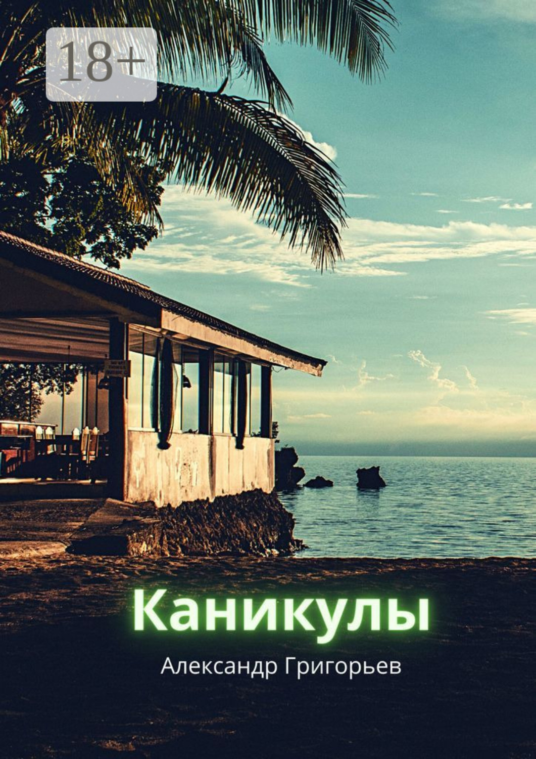 Обложка книги «Каникулы»