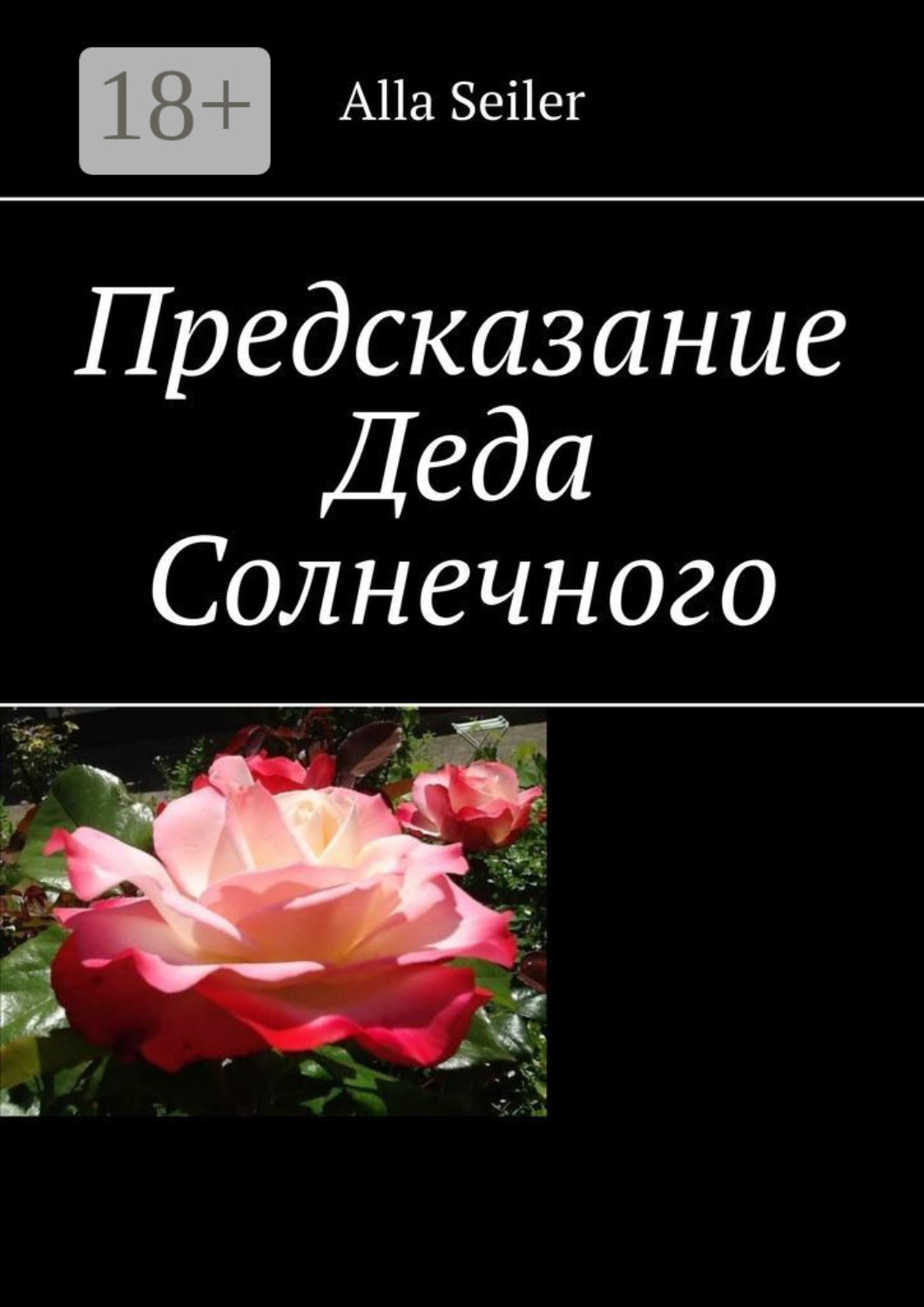 Обложка книги «Предсказание Деда Солнечного»