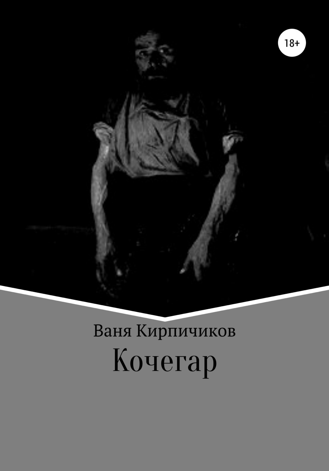 Обложка книги «Кочегар»