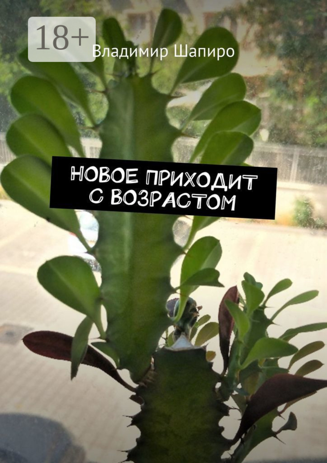 Обложка книги «Новое приходит с возрастом»