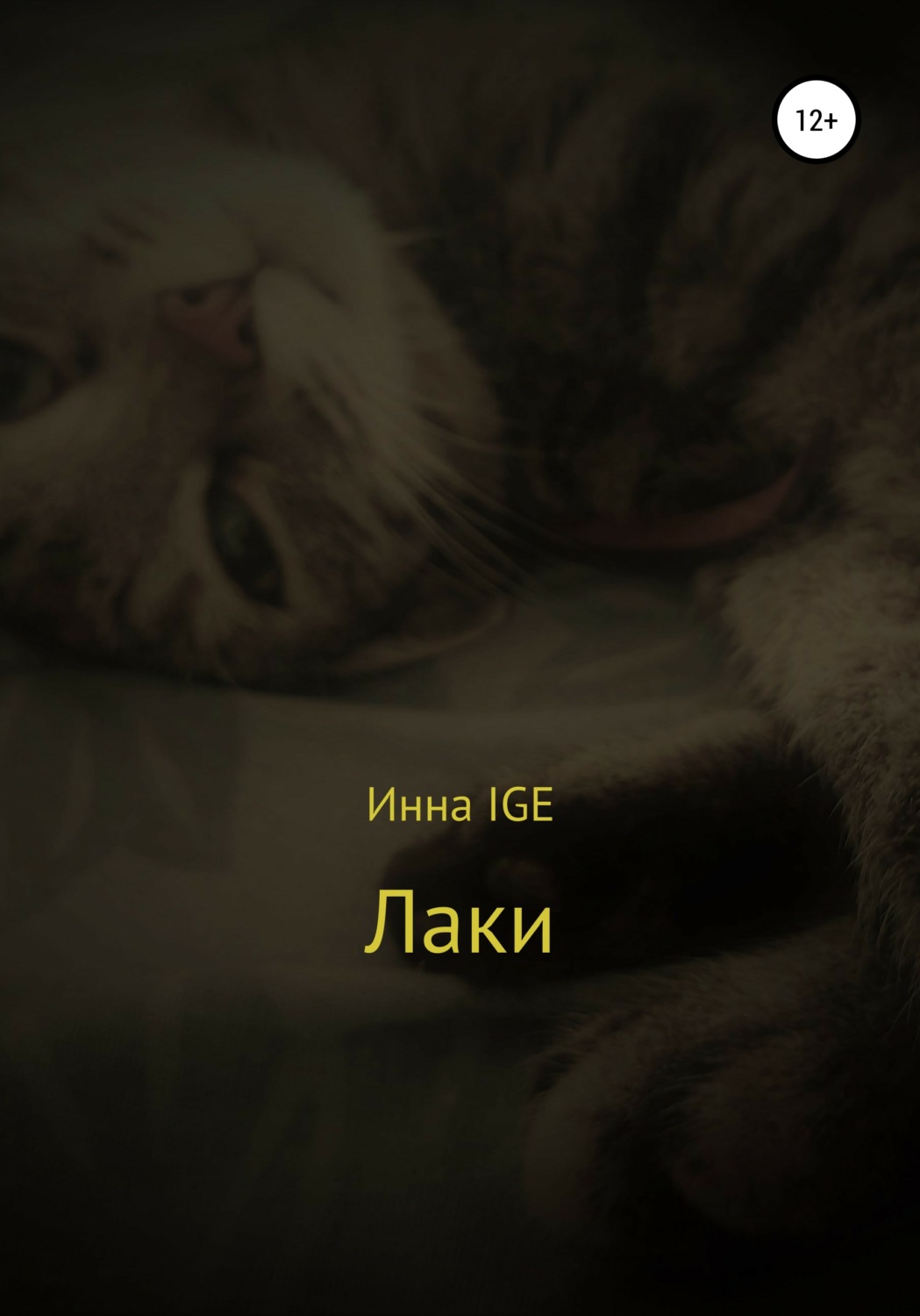 Обложка книги «Лаки»