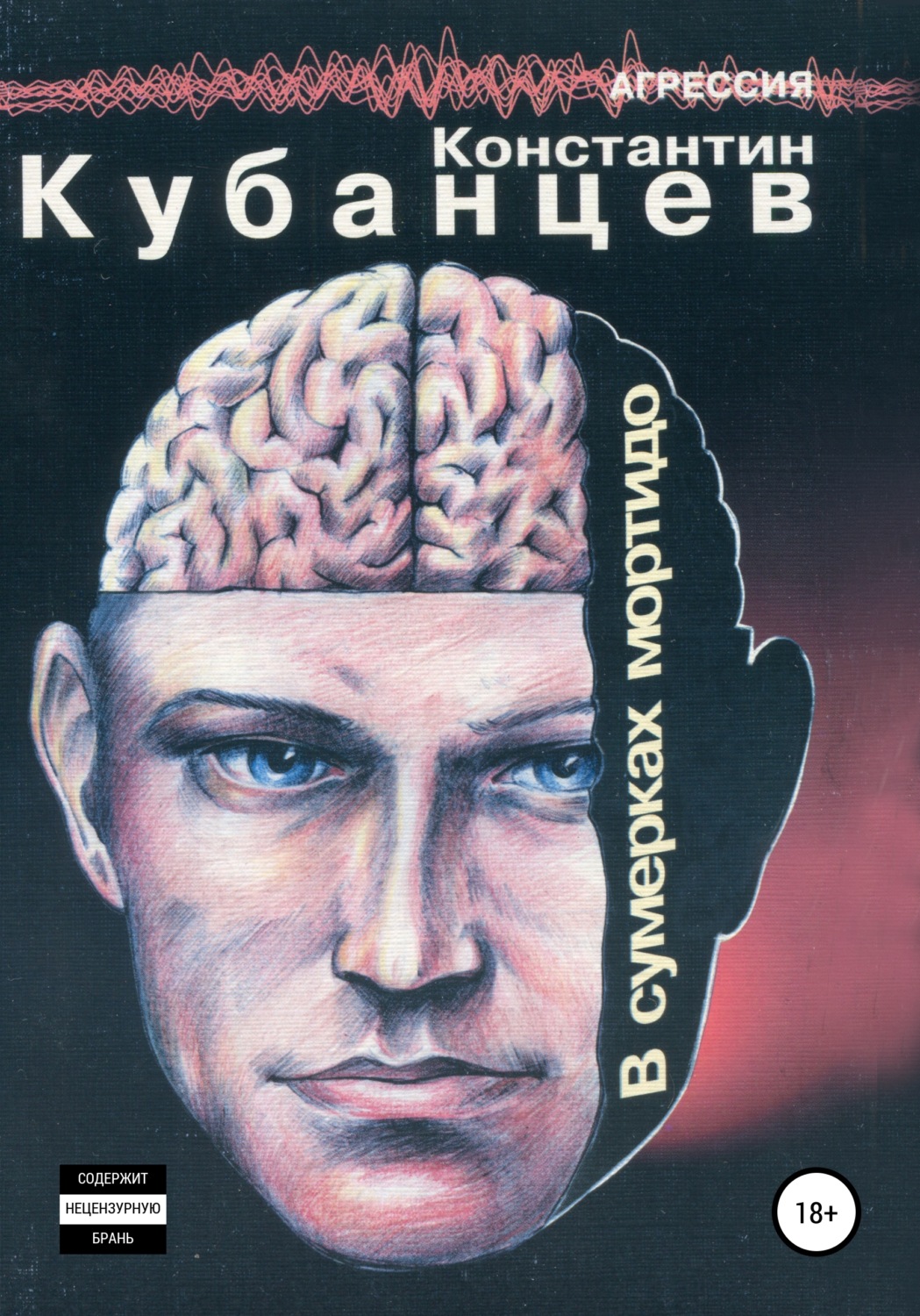 Обложка книги «В сумерках мортидо»