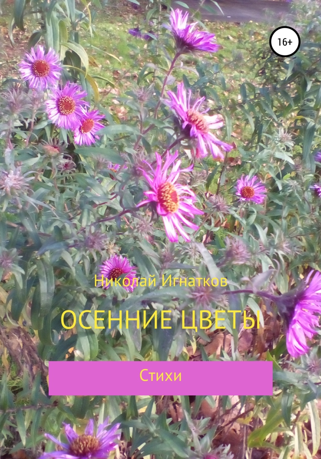 Обложка книги «Осенние цветы»
