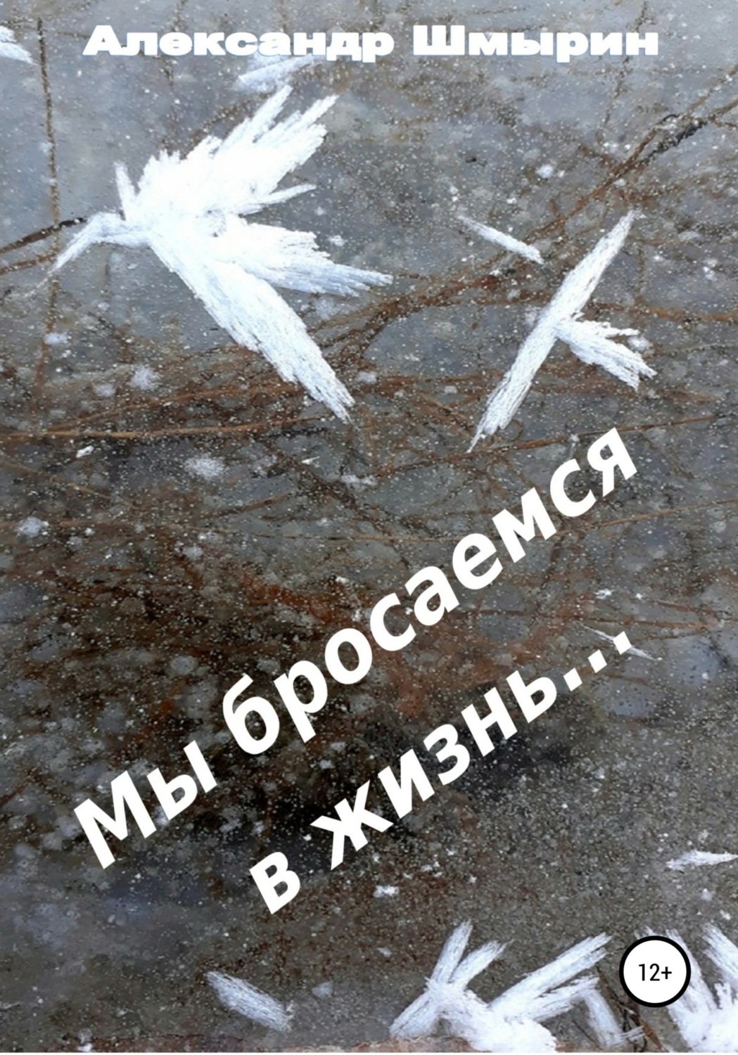 Обложка книги «Мы бросаемся в жизнь»