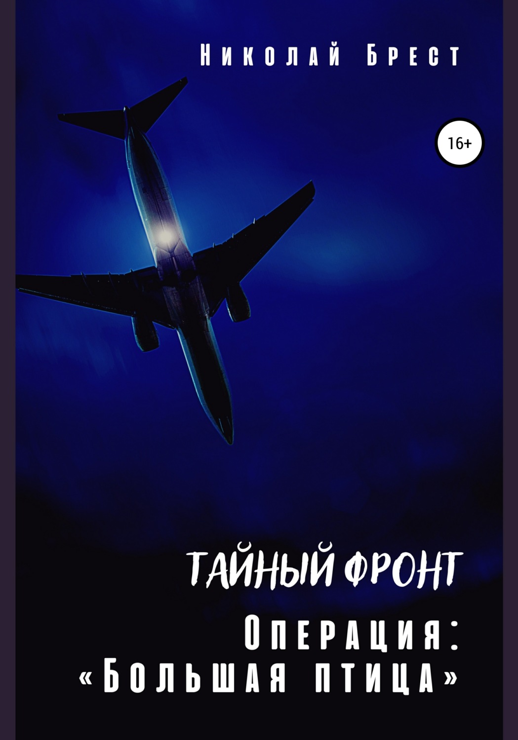 Обложка книги «Тайный фронт. Операция «Большая птица»»