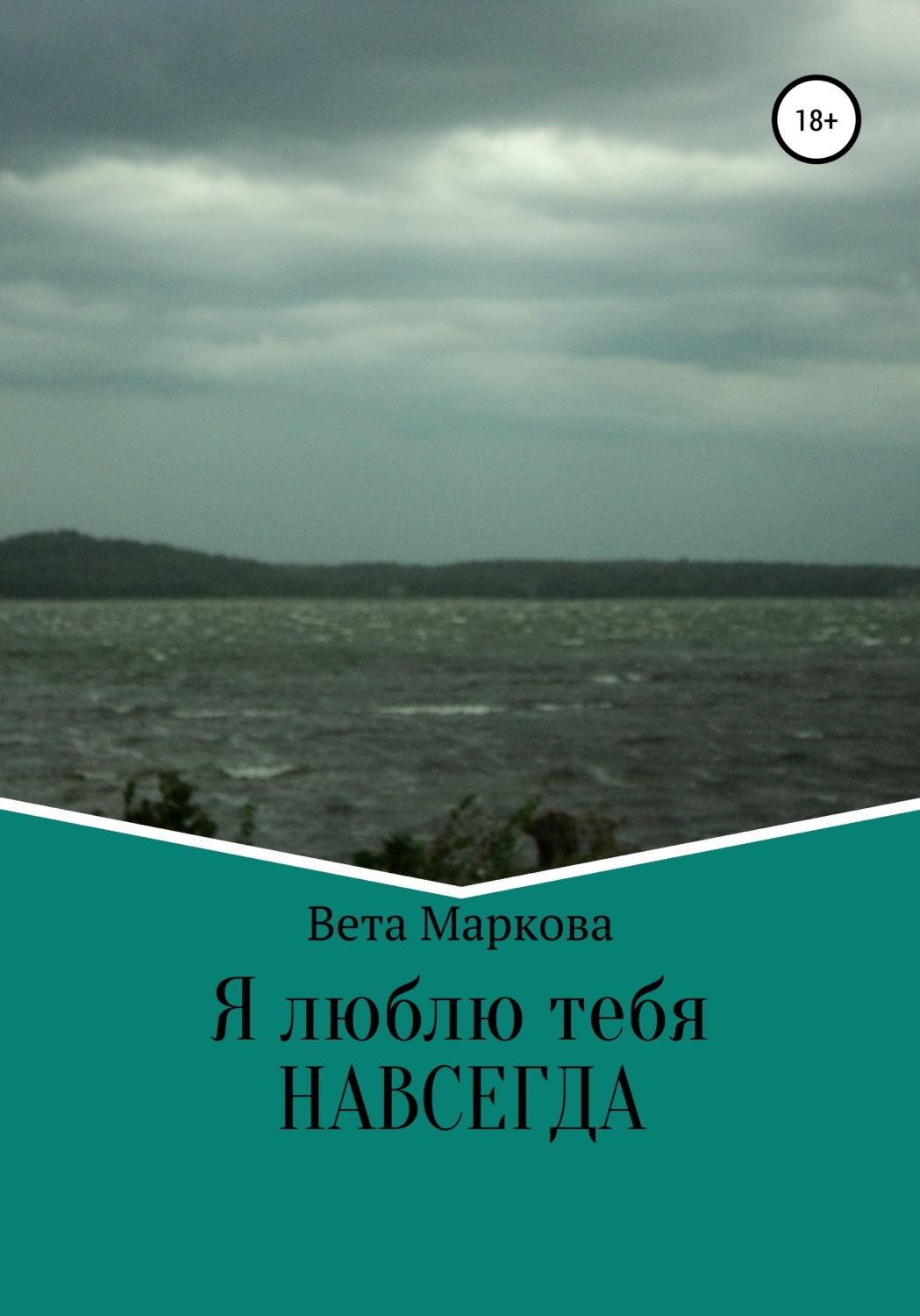 Обложка книги «Я люблю тебя НАВСЕГДА»