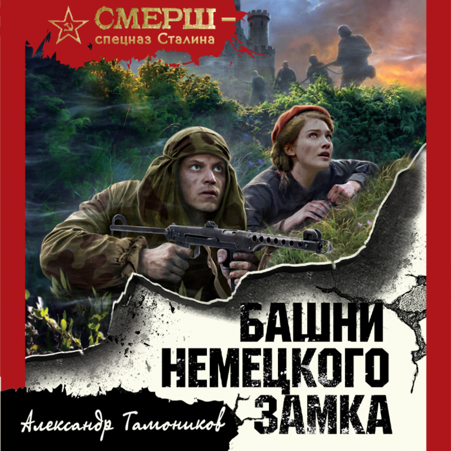 Обложка книги «Башни немецкого замка»