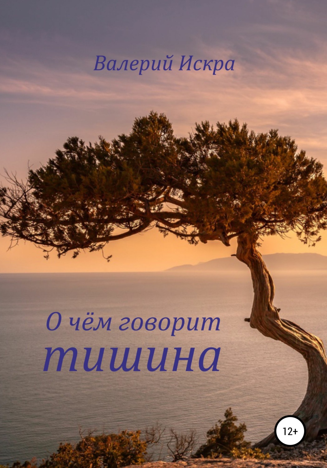 Обложка книги «О чём говорит тишина»