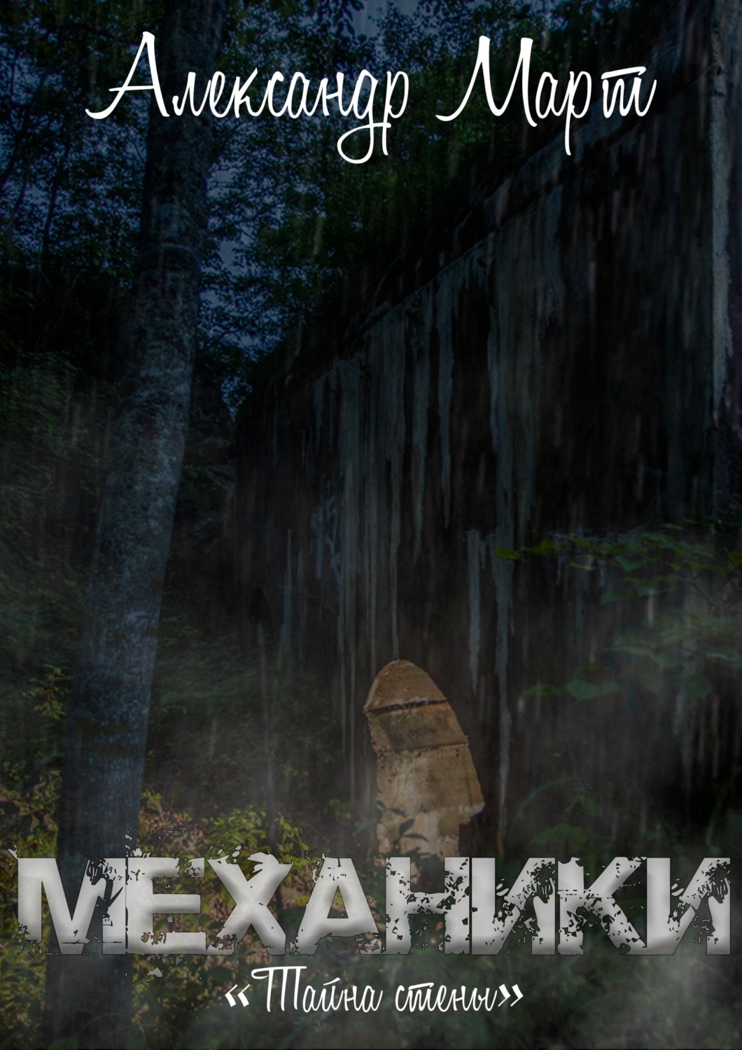 Обложка книги «Механики. Тайна стены»