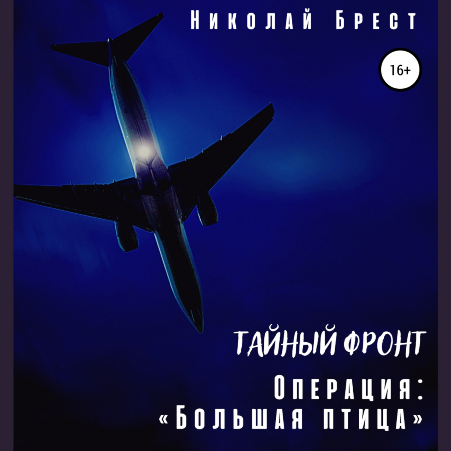 Обложка книги «Тайный фронт. Операция «Большая птица»»