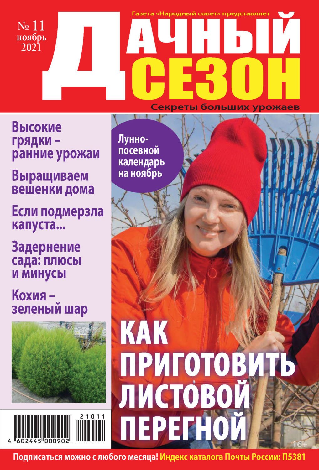 Обложка книги «Дачный сезон №11/2021»