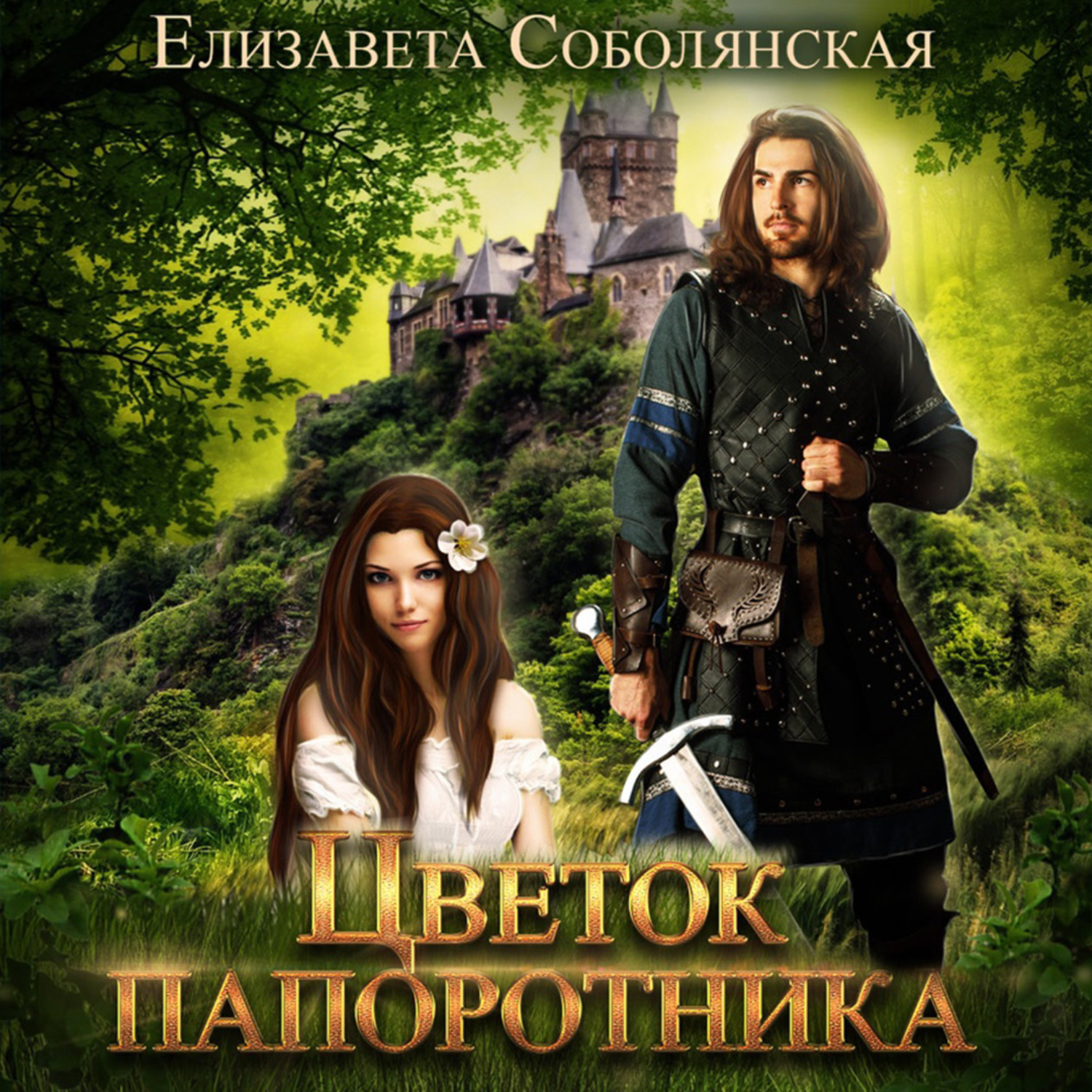 Обложка книги «Цветок папоротника»